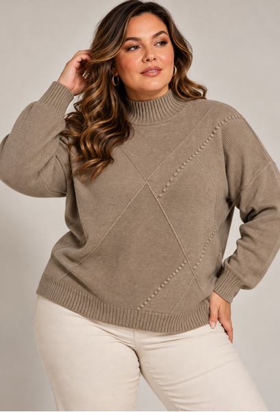 Immagine di PLUS SIZE TURTLE NECK SWEATER